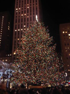 IMG00078-20111212-1925