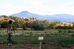 Pedernal in background