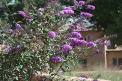 Ghost Ranch July 30, 2008