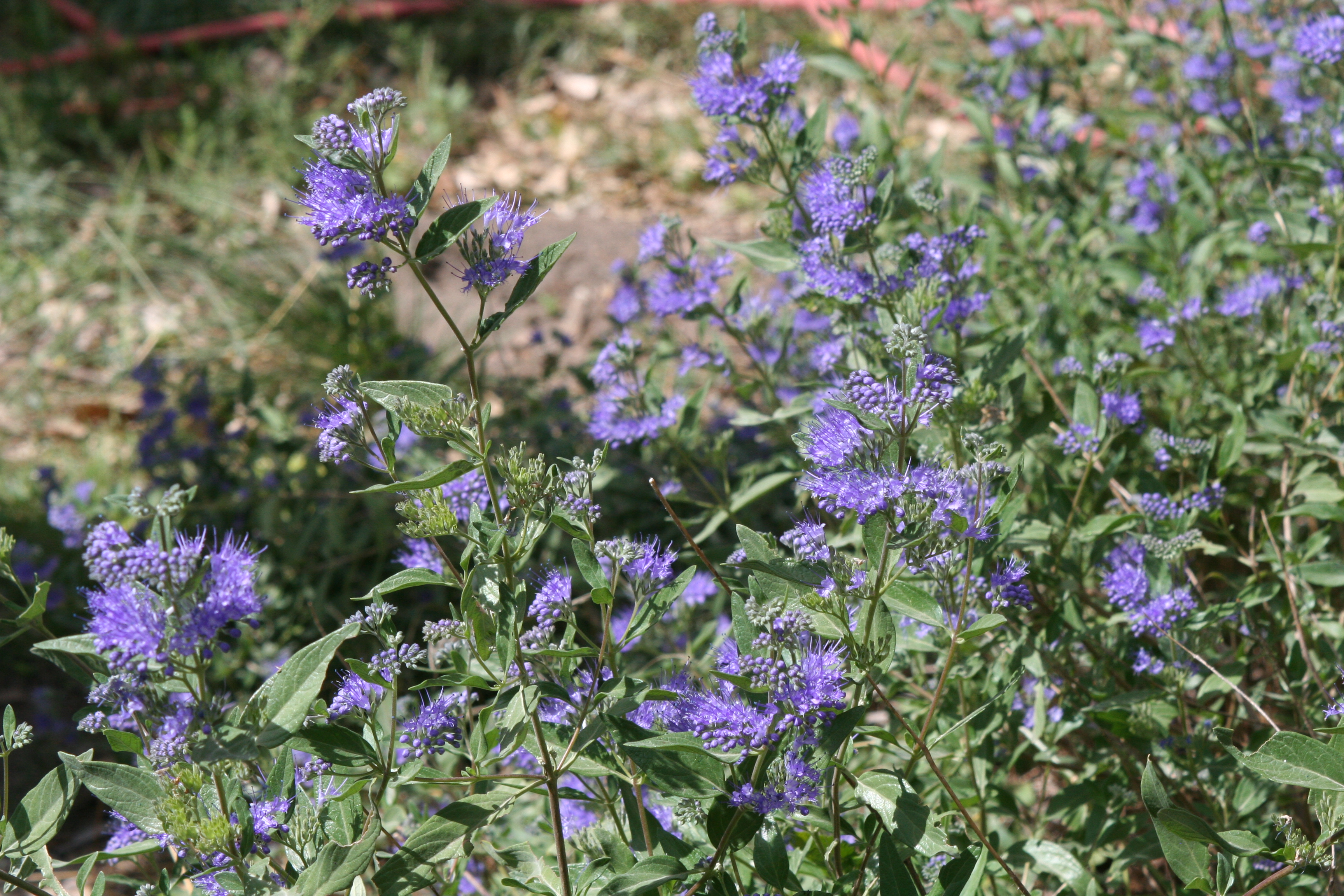 Scottsbluff Zoo, September 6, 2010