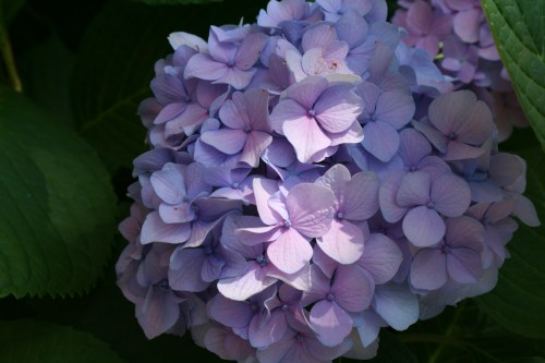 15 June 2012 Fourth Avenue Presbyterian Church 1