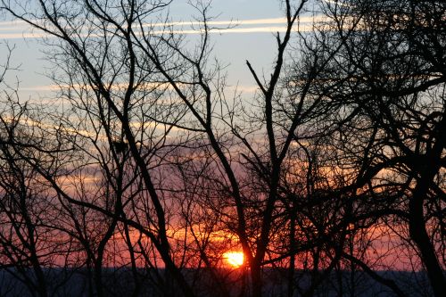 M18 Rise 22 January 2009 General Butler State Park, KY