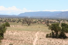 T is for Trail (800x533)