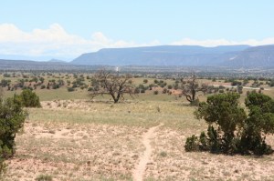 T is for Trail (800x533)