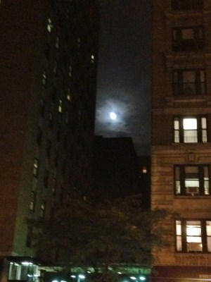 photo (52) (599x800)