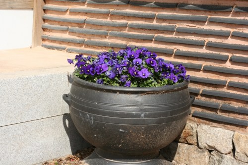 Gimhae Traditional House 26 March 2013 (1024x683)