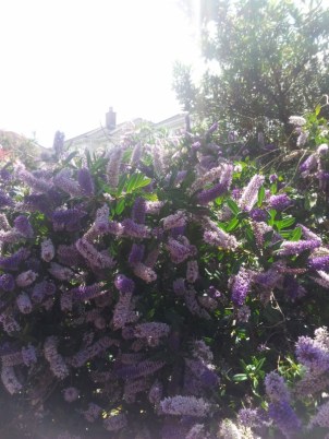 2014-07-08 14.40.29 (600x800)