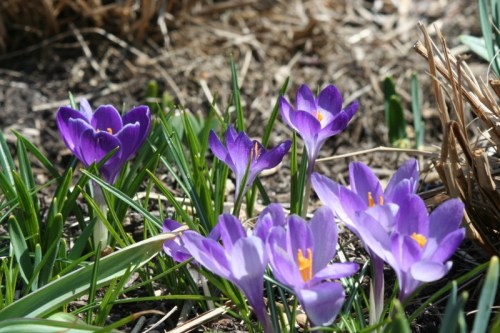 Hudson River Greenway 2 (800x533)