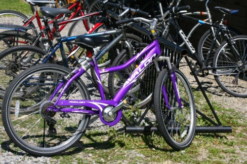 Purple Bike Cha Aug 4
