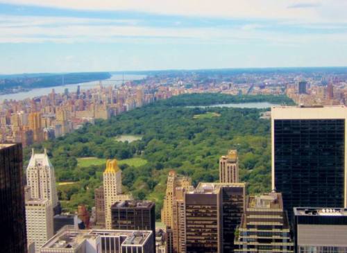 13524492_10154202733961063_7477240440070999224_n