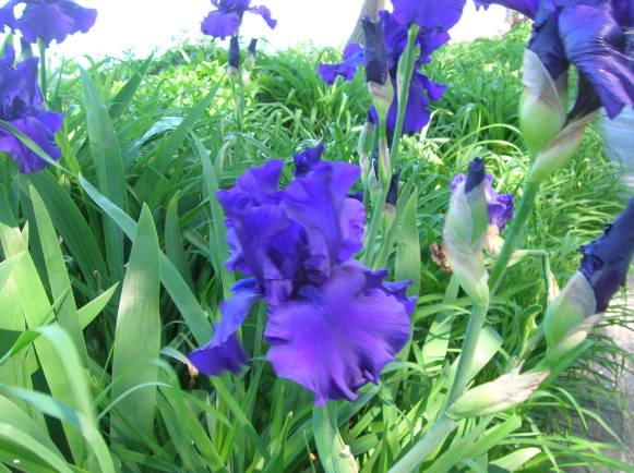 19388661_10208905402974162_6564177562806257343_o