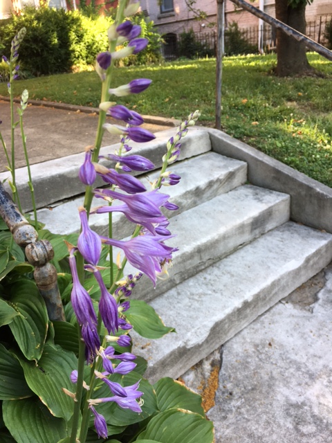 3847044A-45FD-407C-B564-854792262CDC