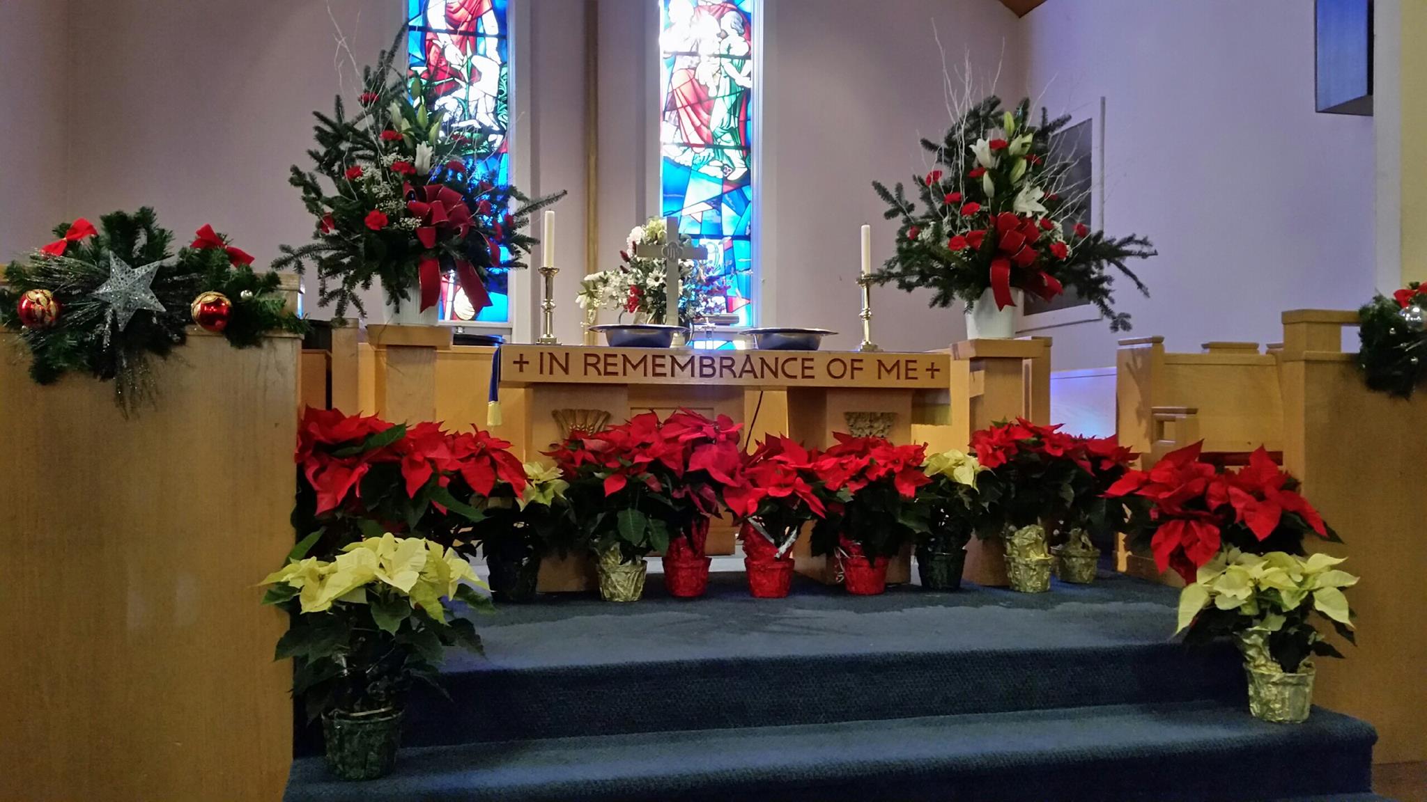 48391553_10156356621014440_5197715648628654080_o