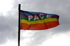 1294519_10151934672121063_245716286_o