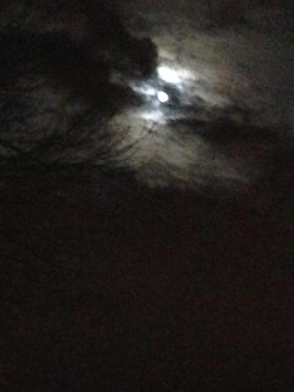 15520_10153204706826063_7379416934271826682_n