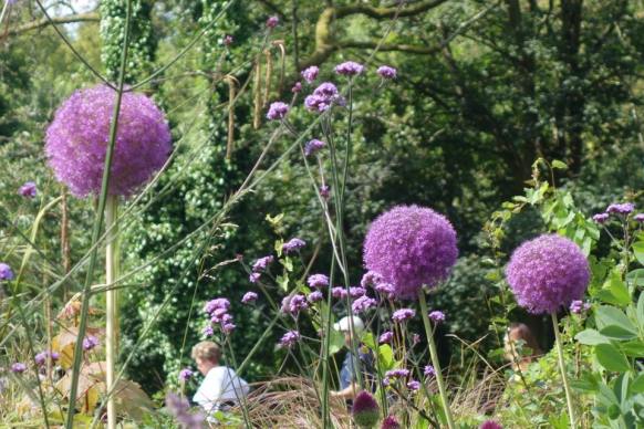 64535208_10159381691607524_3225437344563724288_n