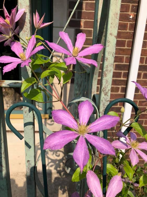 67122963_10157517622451098_8990674544163291136_n