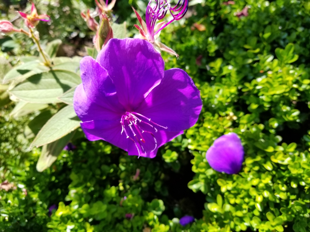 Resized-20190724-104440